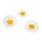 White Daisy Paper Flowers by Recollections™, 36ct.